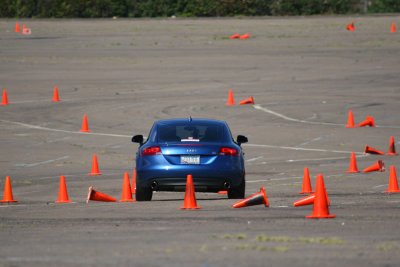 IMG_0384.jpg