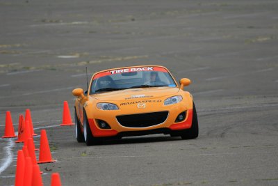 IMG_5409.jpg