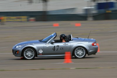 IMG_6481.jpg