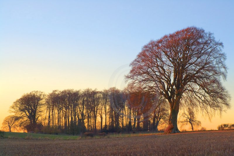 near Sapperton, Glos