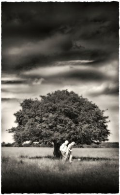 Eveningdance, Rodborough Common