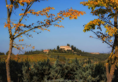 Around San Gimignano