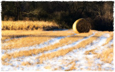 Left behind, Painswick, Gloucs.