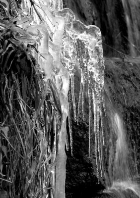 Icicle and waterfall, Roche Abbey, Notts.