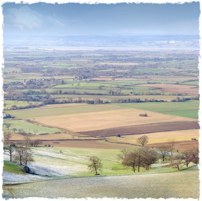 Severn Estuary in Early Spring