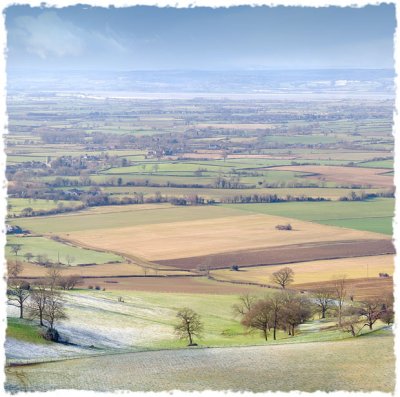 Severn Estuary in Early Spring