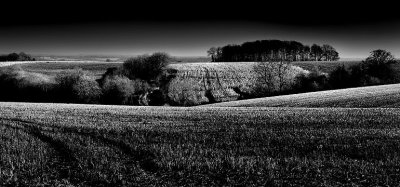 Stubble field