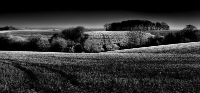 Stubble field