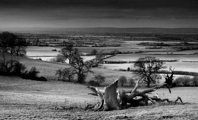 From Frocester Hill