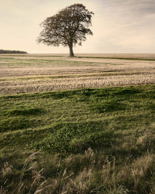 Noticeably Autumn