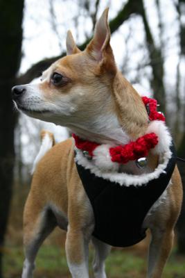 Tough guys wear jingle bells