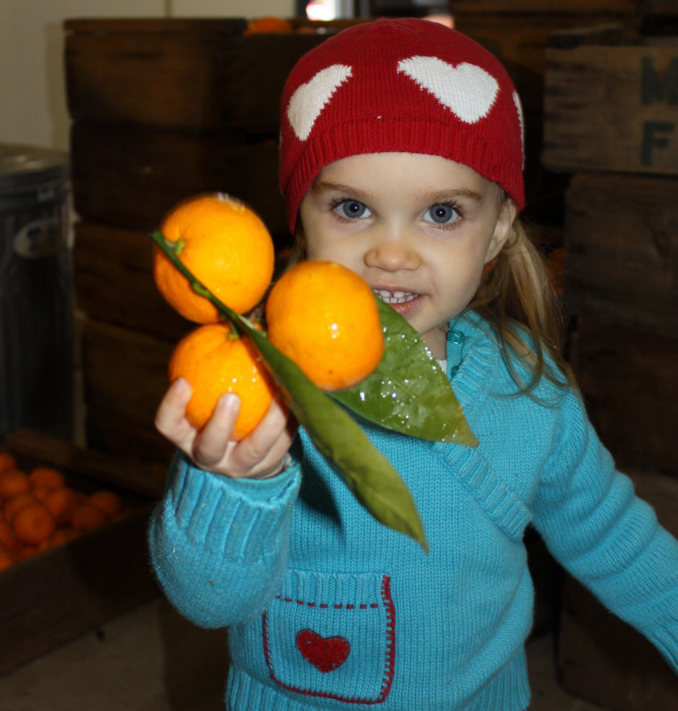 Nikki Rees, 2 (Glenndas granddaughter), shows off the merchandise