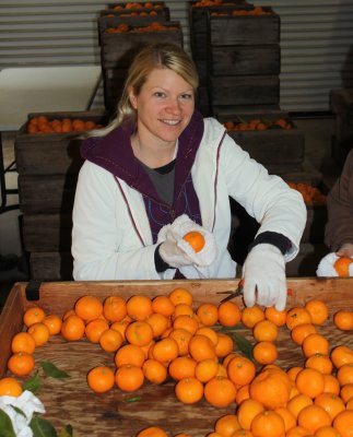 Glennda's daughter Kimberly Reese at the mandarin sorting and cleaning station