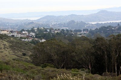 Mill Valley from the foothills