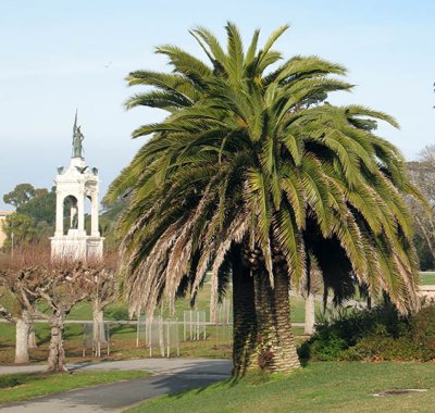 Golden Gate Park, just outside Calif. Adademy of Sciences