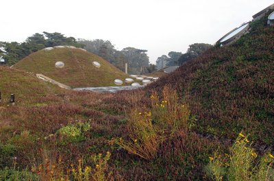 The Academy of Sciences' 2.5-acre living roof