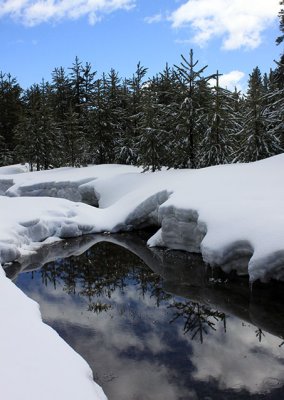 Sierra snow, Chester and Lake Almanor, Calif., March 13, 2010