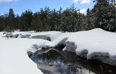 Creek near Chester