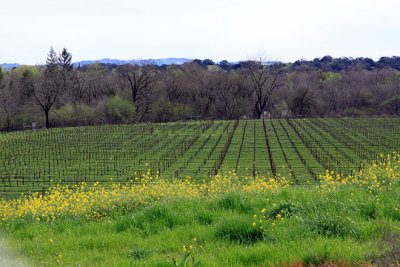 Hop Kiln acreage