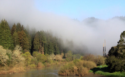 Sunday Morning, Russian River, Monte Rio