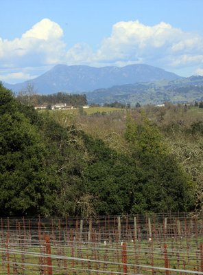 Woodenhead Vintners acreage