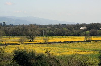 Woodenhead Vintners acreage