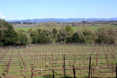 Woodenhead Vintners acreage