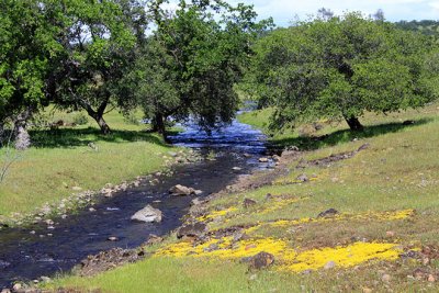 Seasonal waterway flows into Butte Creek