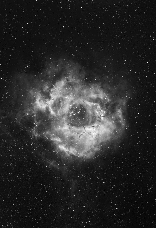 Rosette-Nebula-0XXcNGC2244-.jpg