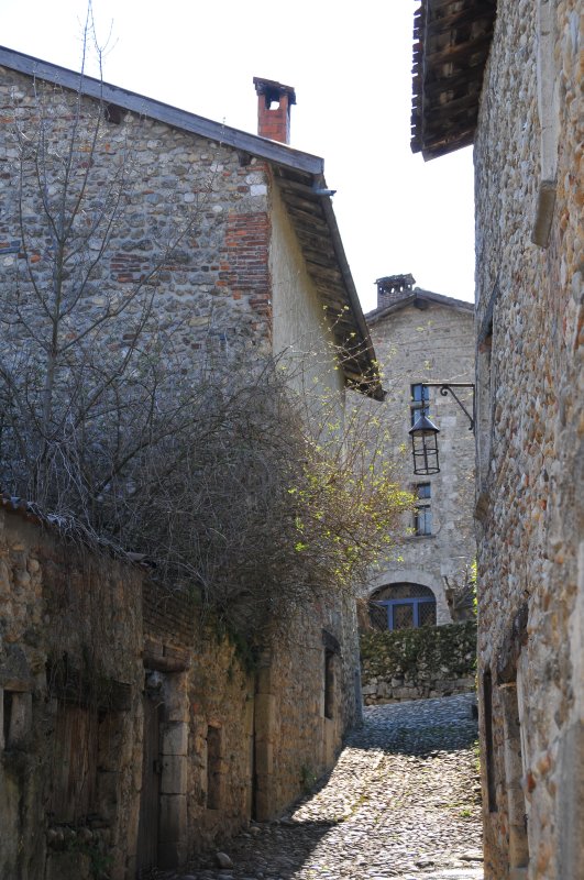 DSC_0969.JPG