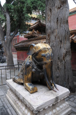 PICT1161.JPG