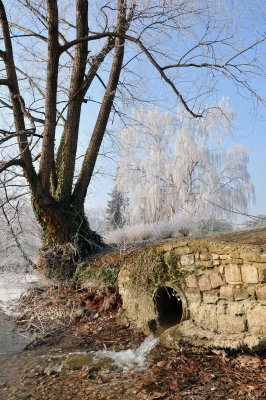 DSC_5077.jpg