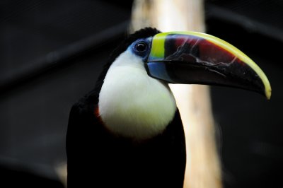 DSC_3169.jpg