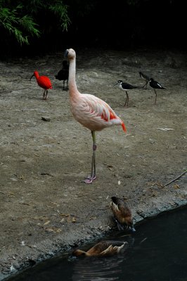 DSC_3203.jpg