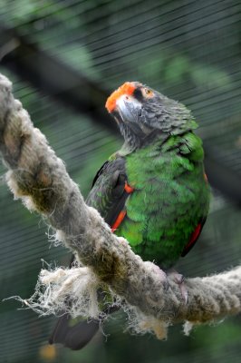 DSC_3358.jpg