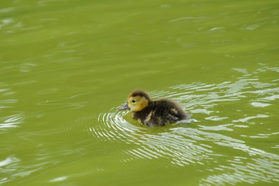 DSC_3789.jpg