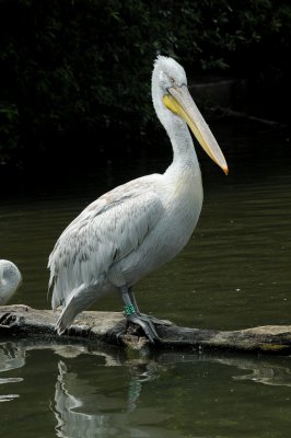 DSC_3909.jpg
