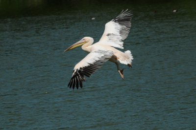DSC_4177.jpg