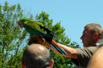 DSC_4444.jpg