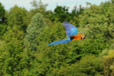 DSC_4500.jpg