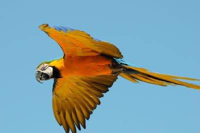 DSC_4520.jpg
