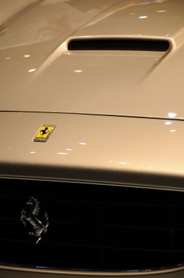 DSC_4655.JPG