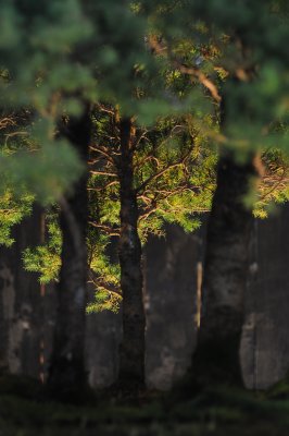 DSC_0894.JPG