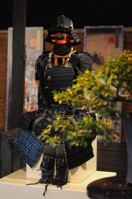 DSC_0936.JPG