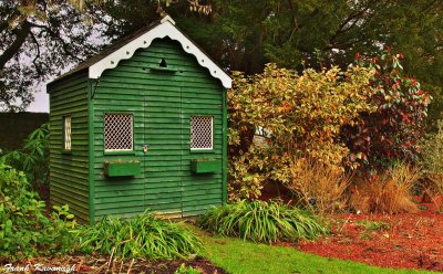 The Green Shed.jpg