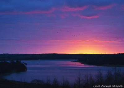 A New Day Begins.jpg