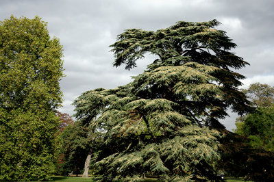 g3/45/940645/3/120631516.4S4VHF62.jpg