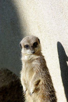 g3/45/940645/3/120635225.5YWxUs9f.jpg