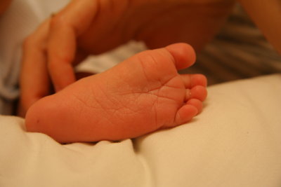 g3/45/943645/3/124370262.lh93HjHJ.jpg