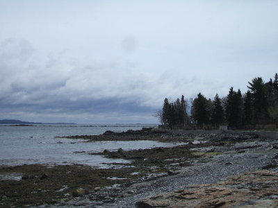 Bar Harbor 8.JPG